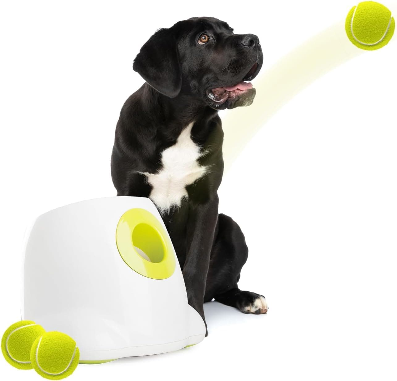 ALL FOR PAWS Hyperfetch Ultimate Lanzador Automático de Bolas Interactivo para Perros, máquina de Lanzamiento de Pelotas de Tenis para Perros Grandes, Incluye 3 Bolas (Hyper Fetch Maxi)